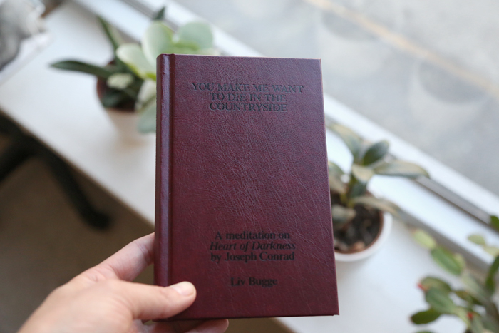 YOU MAKE ME WANT TO DIE IN THE COUNTRY SIDE by Liv Bugge 