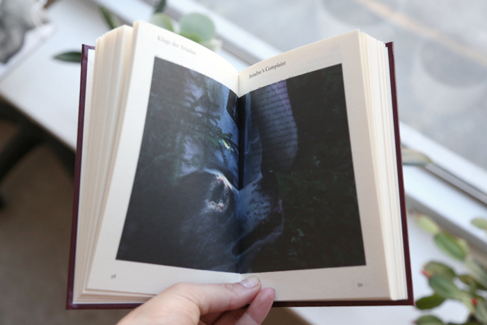 YOU MAKE ME WANT TO DIE IN THE COUNTRY SIDE by Liv Bugge 