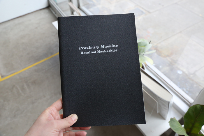 Proximity Machine by Rosalind Nashashibi
