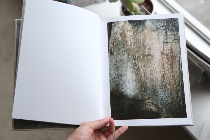 Glacial Jubilé by Estelle Hanania