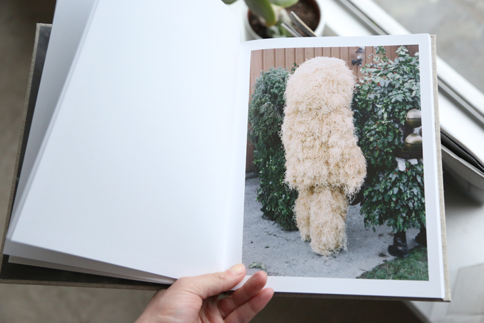 Glacial Jubilé by Estelle Hanania