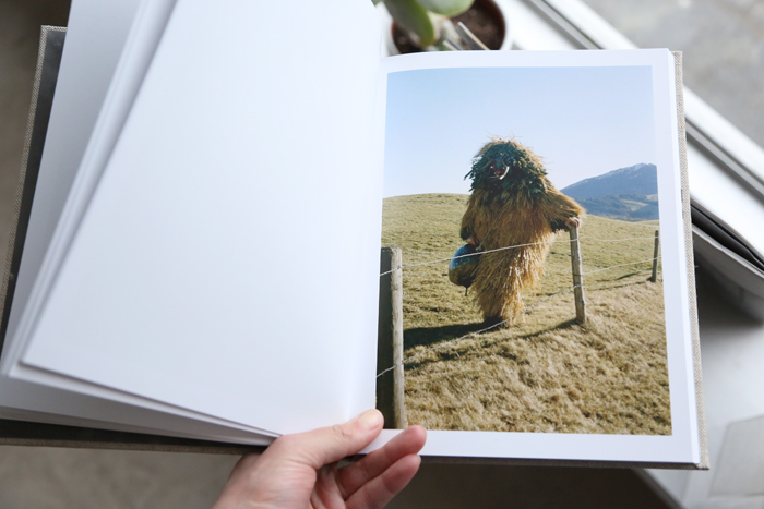 Glacial Jubilé by Estelle Hanania