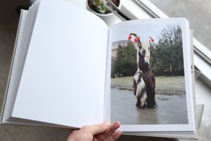 Glacial Jubilé by Estelle Hanania