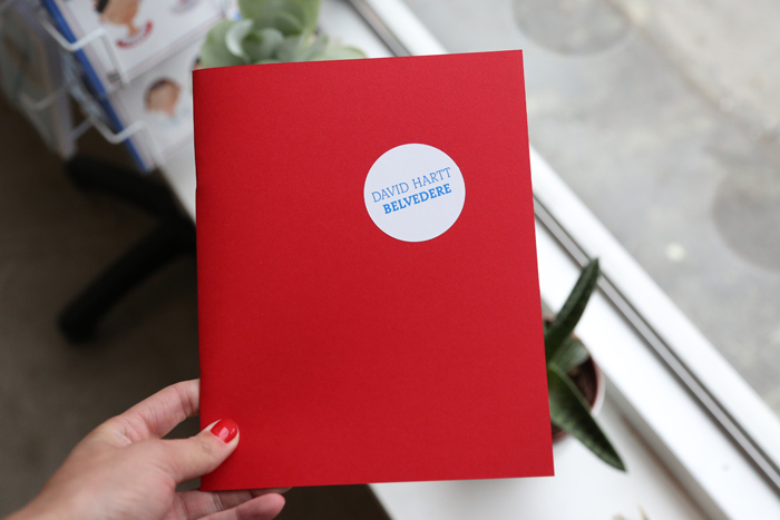 Belvedere by David Hartt