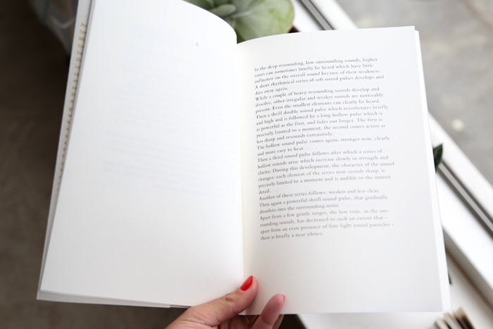 Chartres: one Hour of Sound in a Gothic Cathedral by Toine Horvers