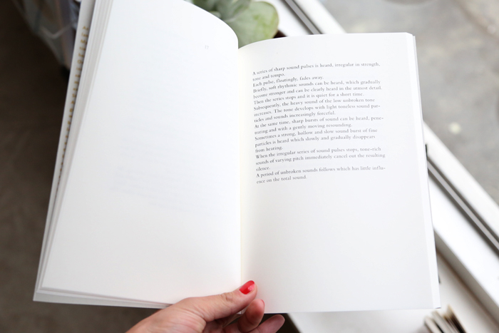 Chartres: one Hour of Sound in a Gothic Cathedral by Toine Horvers