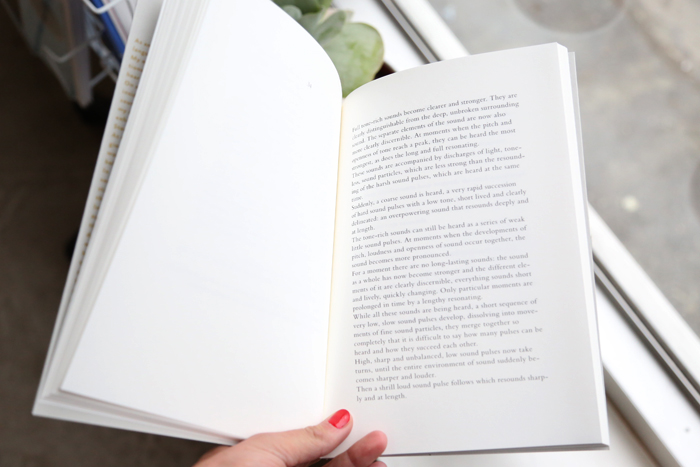 Chartres: one Hour of Sound in a Gothic Cathedral by Toine Horvers