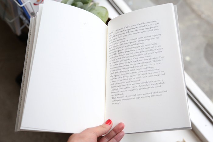 Chartres: one Hour of Sound in a Gothic Cathedral by Toine Horvers