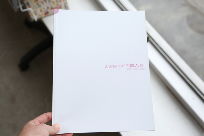 A Stag Not Enslaved by Ben Goddard