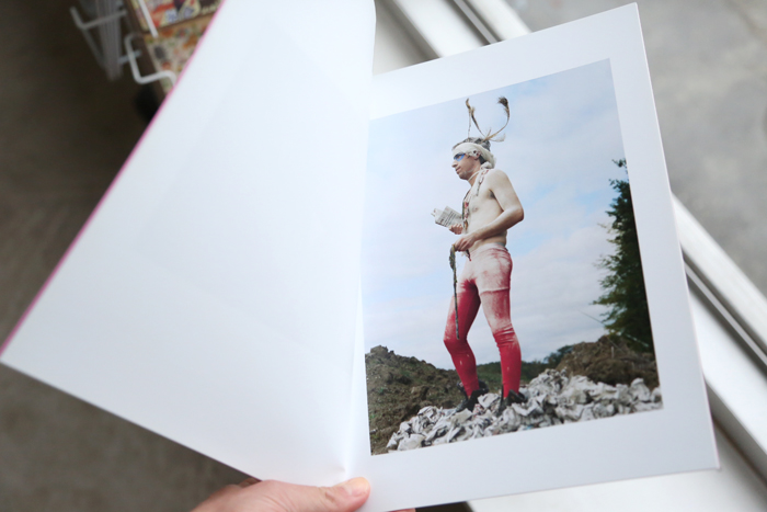 A Stag Not Enslaved by Ben Goddard