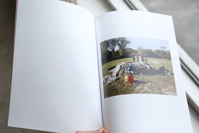 A Stag Not Enslaved by Ben Goddard