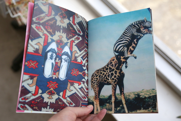 Elastique by Jennifer Abessira