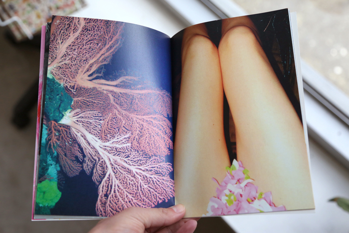 Elastique by Jennifer Abessira