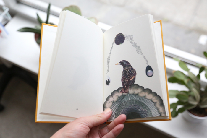 10 Fugle by Lisbeth Bank