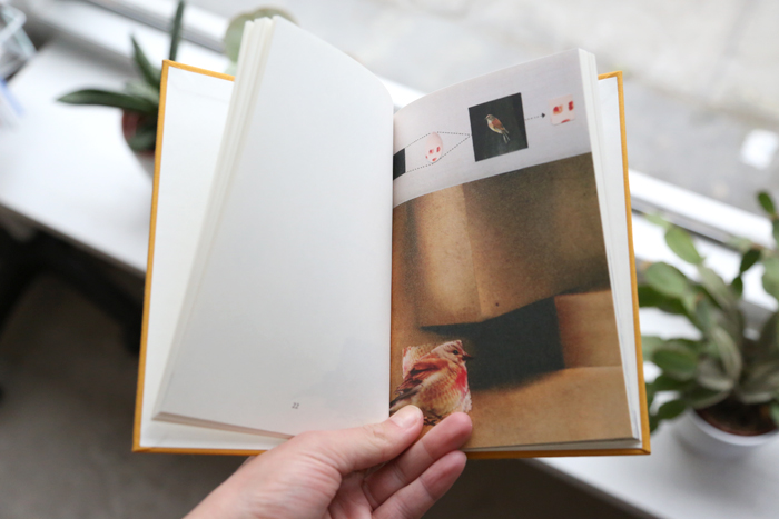 10 Fugle by Lisbeth Bank