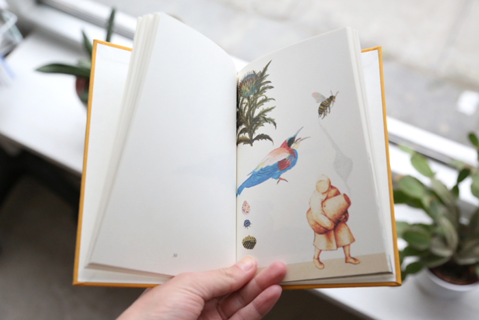 10 Fugle by Lisbeth Bank