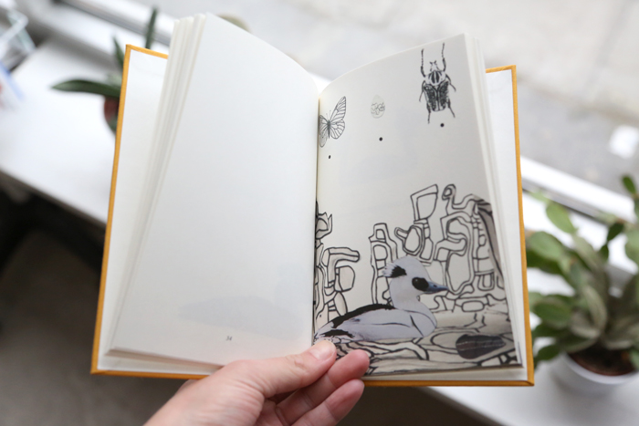 10 Fugle by Lisbeth Bank