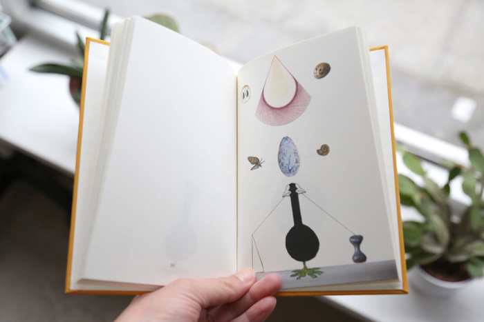 10 Fugle by Lisbeth Bank