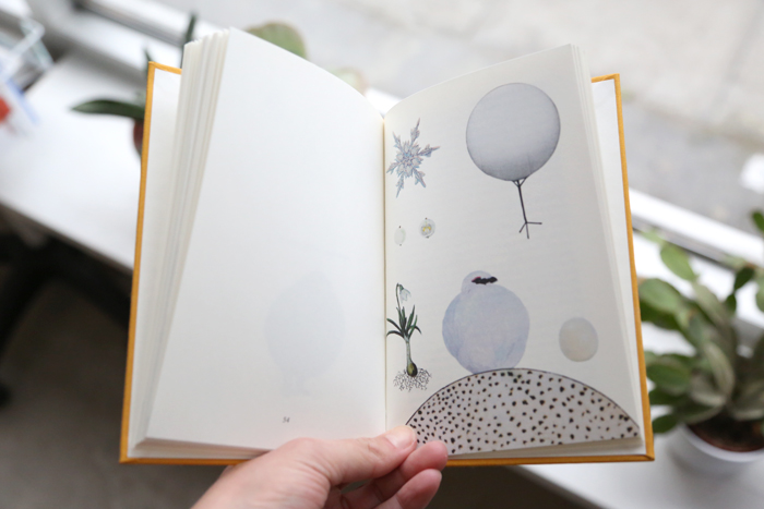 10 Fugle by Lisbeth Bank