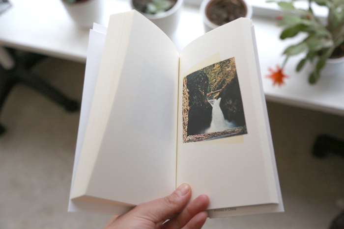 Book of Images, 1970 by Brice Marden