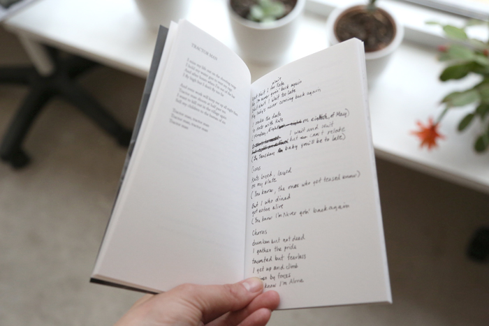 Ariel Pinks Haunted Graffiti: Selected Lyrics by Ariel Pink