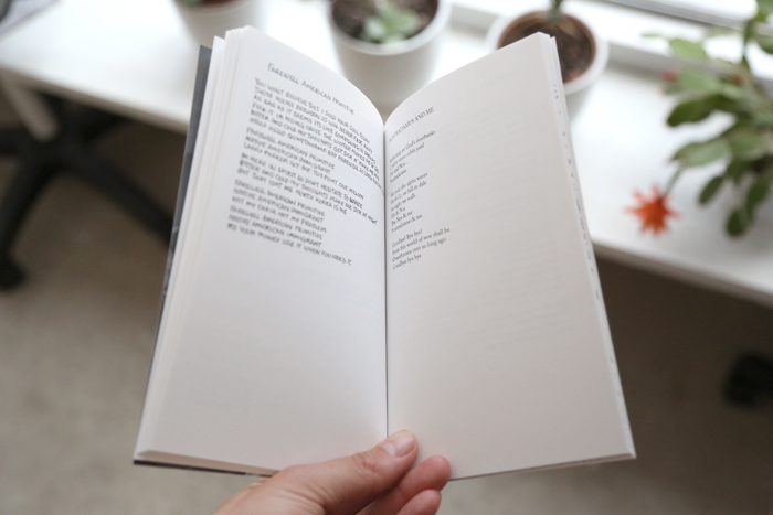 Ariel Pinks Haunted Graffiti: Selected Lyrics by Ariel Pink