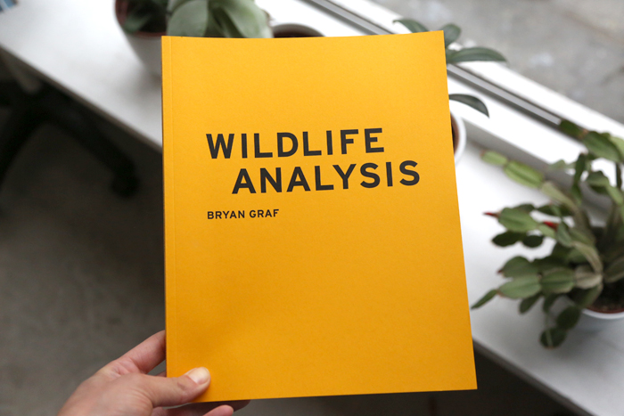 Wildlife Analysis by Bryan Graf