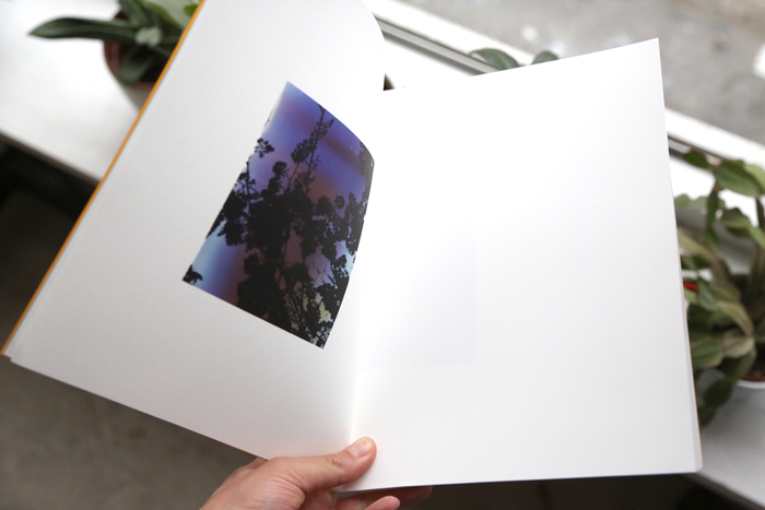 Wildlife Analysis by Bryan Graf