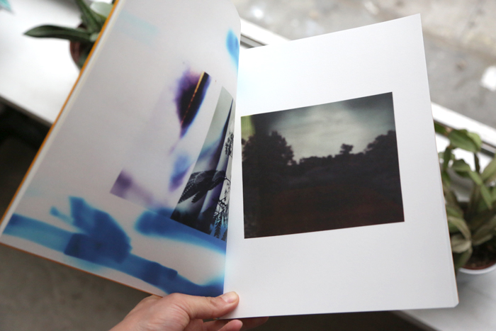 Wildlife Analysis by Bryan Graf