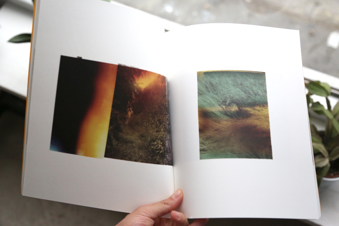 Wildlife Analysis by Bryan Graf