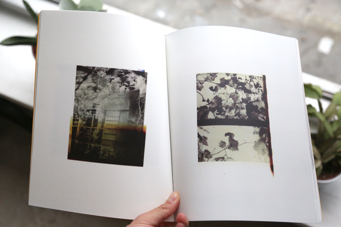 Wildlife Analysis by Bryan Graf