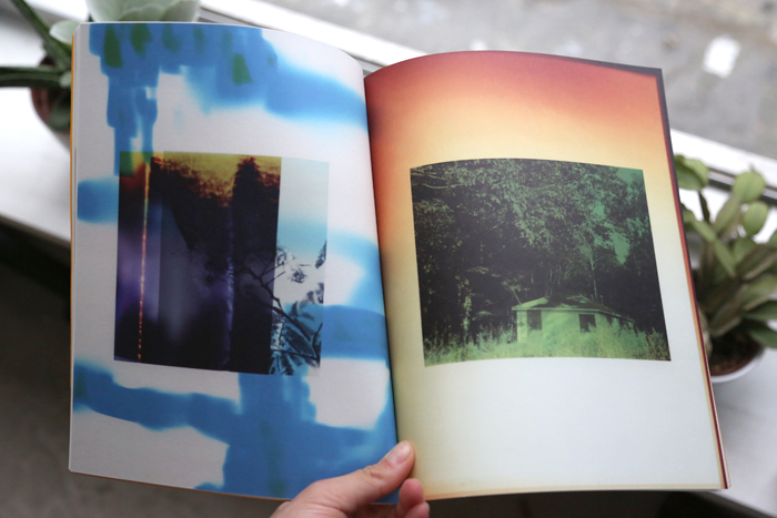 Wildlife Analysis by Bryan Graf