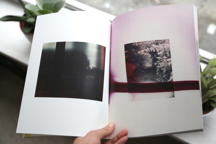 Wildlife Analysis by Bryan Graf