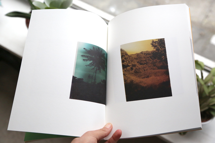 Wildlife Analysis by Bryan Graf