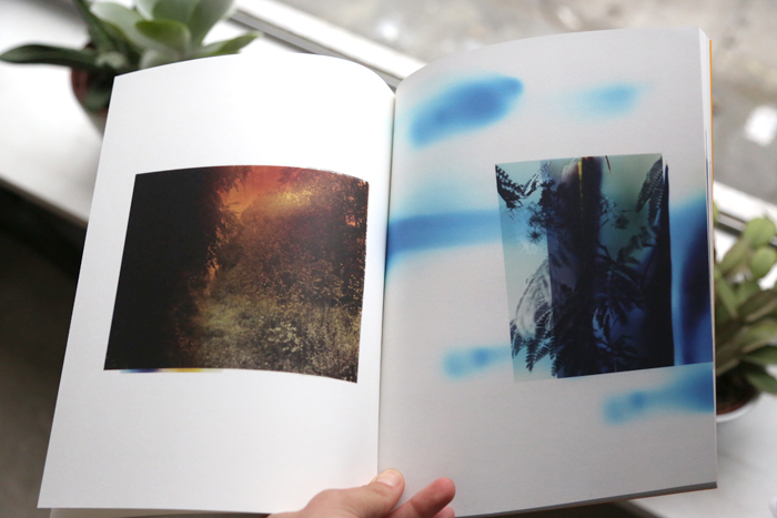 Wildlife Analysis by Bryan Graf