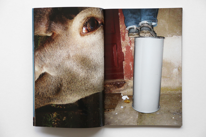 Glory Days by Maria L. Felixmuller