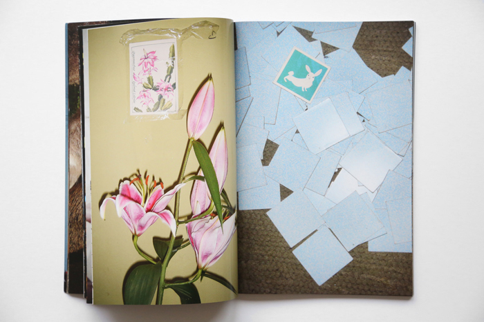 Glory Days by Maria L. Felixmuller