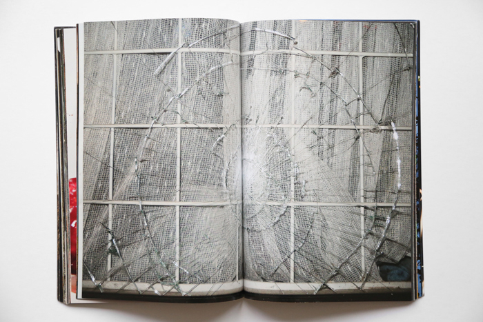 Glory Days by Maria L. Felixmuller