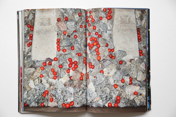 Glory Days by Maria L. Felixmuller