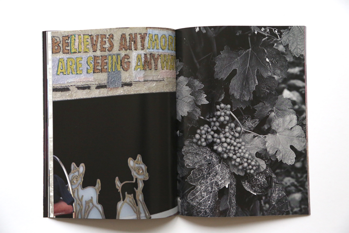 Hobbs McLaughlin by Marie Angeletti 